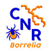 CNR borrelia